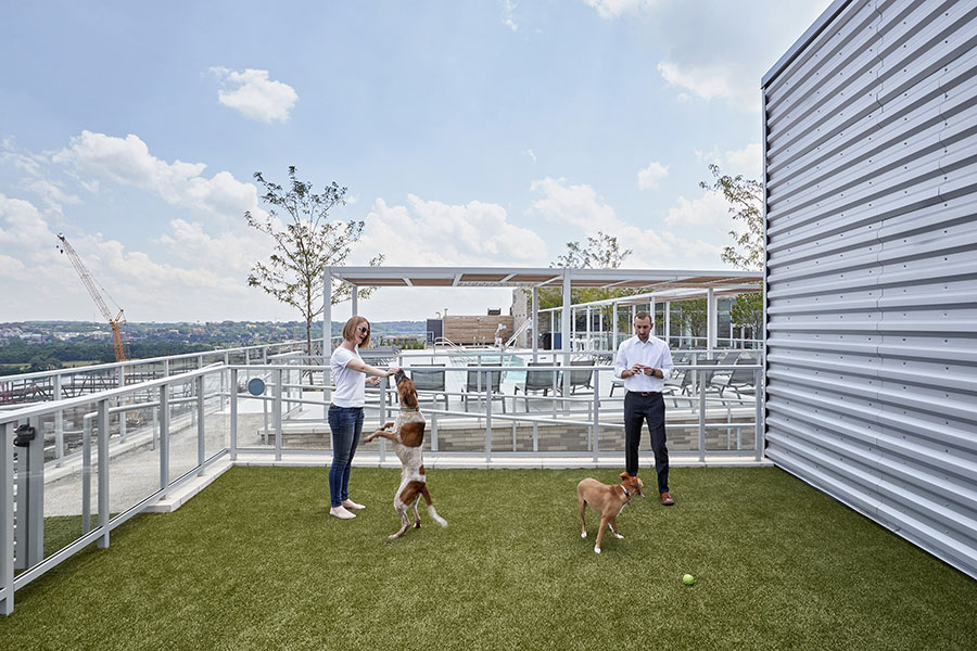 FIRST Residences rooftop dog park
